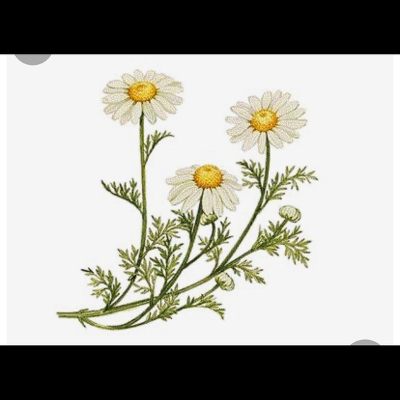 Meet your Posher, Rachael - Picture 1 of 1